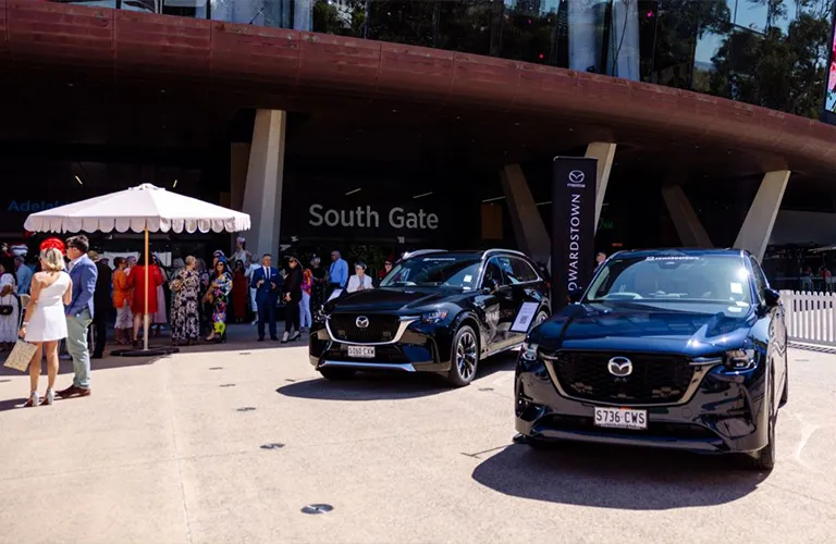Melbourne Cup Adelaide Oval Feature